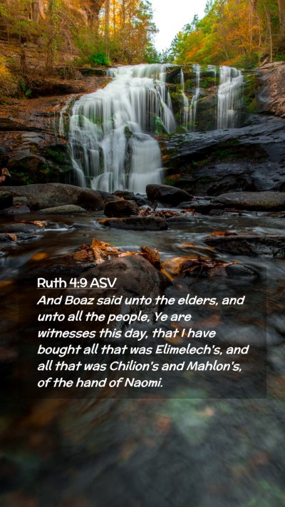 Picture 02 - Ruth 4:9 ASV Mobile Phone Wallpaper - And Boaz said unto the elders, and unto all the - Mobile Bible Verse Wallpaper