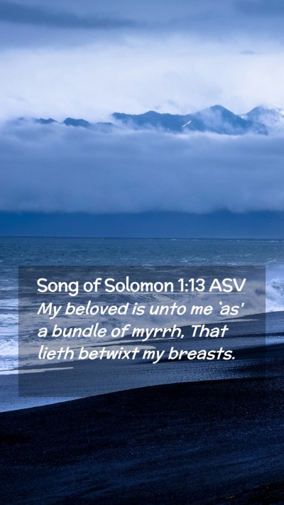 Picture 02 - Song of Solomon 1:13 ASV Mobile Phone Wallpaper - My beloved is unto me `as' a bundle of myrrh, - Mobile Bible Verse Wallpaper