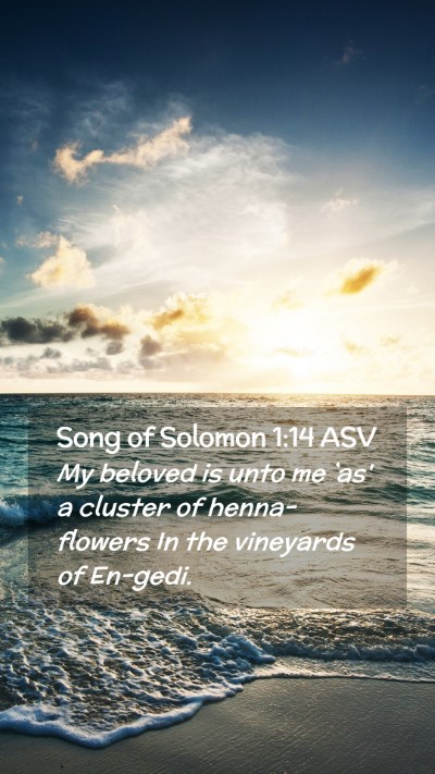 Picture 02 - Song of Solomon 1:14 ASV Mobile Phone Wallpaper - My beloved is unto me `as' a cluster of - Mobile Bible Verse Wallpaper