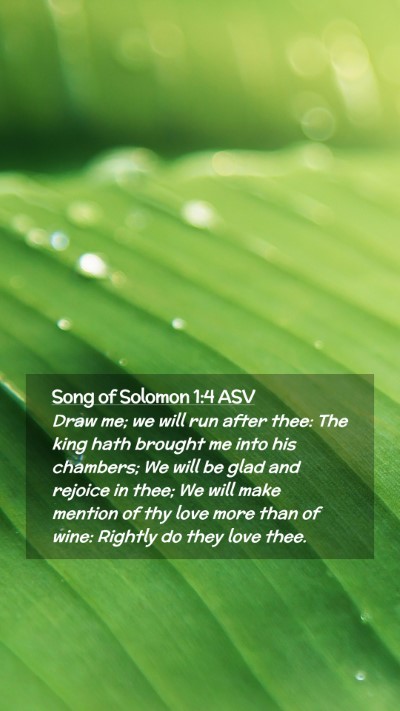 Picture 02 - Song of Solomon 1:4 ASV Mobile Phone Wallpaper - Draw me; we will run after thee: The king hath - Mobile Bible Verse Wallpaper