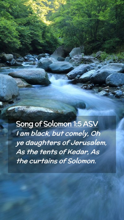 Picture 02 - Song of Solomon 1:5 ASV Mobile Phone Wallpaper - I am black, but comely, Oh ye daughters of - Mobile Bible Verse Wallpaper