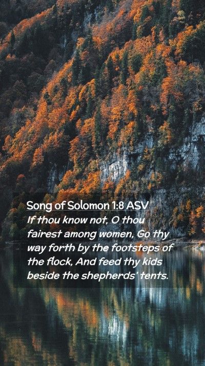 Picture 02 - Song of Solomon 1:8 ASV Mobile Phone Wallpaper - If thou know not, O thou fairest among women, Go - Mobile Bible Verse Wallpaper