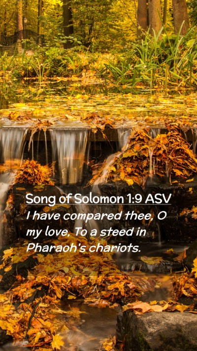 Picture 02 - Song of Solomon 1:9 ASV Mobile Phone Wallpaper - I have compared thee, O my love, To a steed in - Mobile Bible Verse Wallpaper
