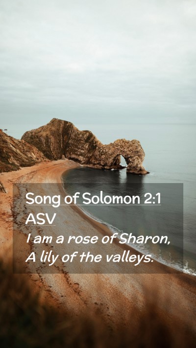 Picture 02 - Song of Solomon 2:1 ASV Mobile Phone Wallpaper - I am a rose of Sharon, A lily of the - Mobile Bible Verse Wallpaper