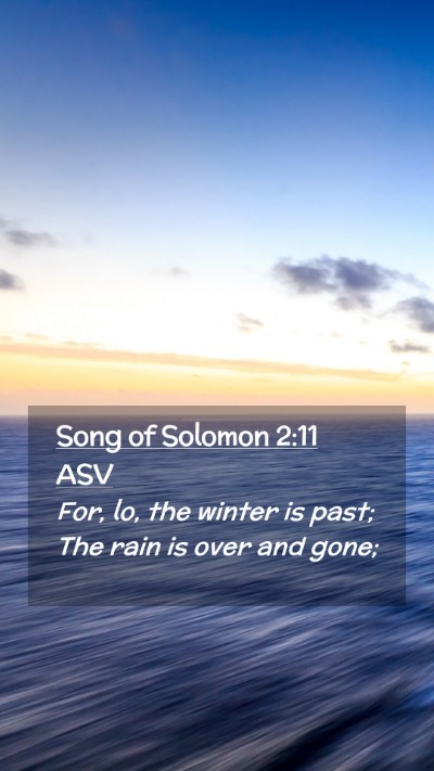 Picture 02 - Song of Solomon 2:11 ASV Mobile Phone Wallpaper - For, lo, the winter is past; The rain is over and - Mobile Bible Verse Wallpaper