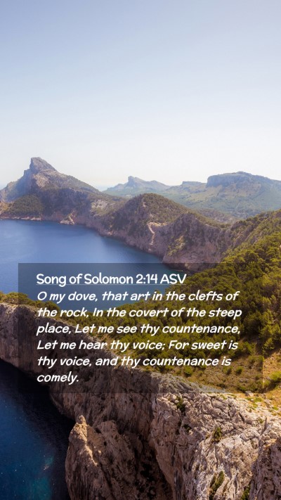 Picture 02 - Song of Solomon 2:14 ASV Mobile Phone Wallpaper - O my dove, that art in the clefts of the rock, In - Mobile Bible Verse Wallpaper