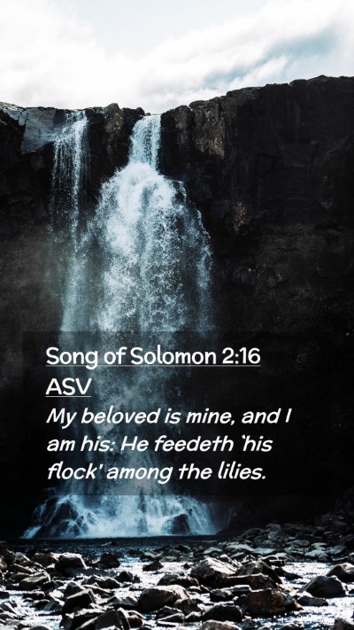 Picture 02 - Song of Solomon 2:16 ASV Mobile Phone Wallpaper - My beloved is mine, and I am his: He feedeth `his - Mobile Bible Verse Wallpaper