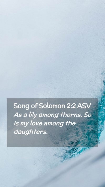 Picture 02 - Song of Solomon 2:2 ASV Mobile Phone Wallpaper - As a lily among thorns, So is my love among the - Mobile Bible Verse Wallpaper