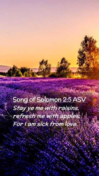 Picture 02 - Song of Solomon 2:5 ASV Mobile Phone Wallpaper - Stay ye me with raisins, refresh me with apples; - Mobile Bible Verse Wallpaper