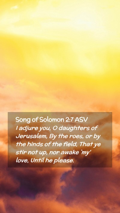 Picture 02 - Song of Solomon 2:7 ASV Mobile Phone Wallpaper - I adjure you, O daughters of Jerusalem, By the - Mobile Bible Verse Wallpaper