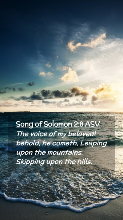 Picture 02 - Song of Solomon 2:8 ASV Mobile Phone Wallpaper - The voice of my beloved! behold, he cometh, - Mobile Bible Verse Wallpaper