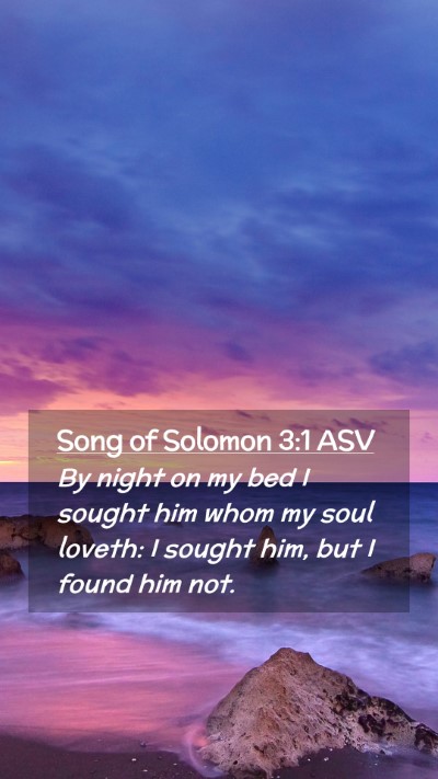 Picture 02 - Song of Solomon 3:1 ASV Mobile Phone Wallpaper - By night on my bed I sought him whom my soul - Mobile Bible Verse Wallpaper