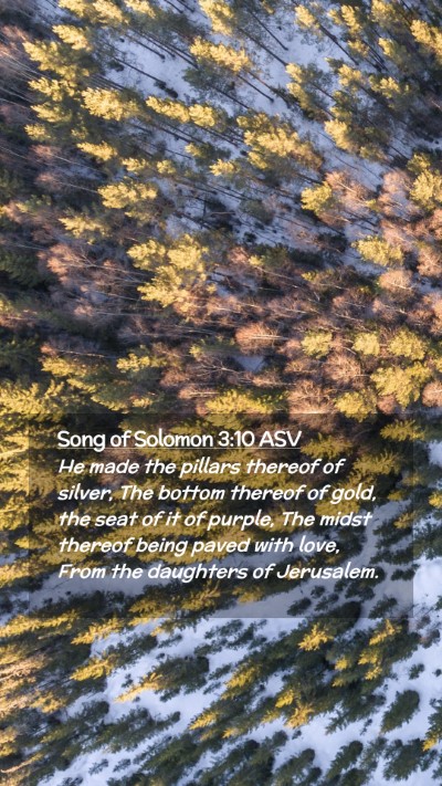 Picture 02 - Song of Solomon 3:10 ASV Mobile Phone Wallpaper - He made the pillars thereof of silver, The bottom - Mobile Bible Verse Wallpaper
