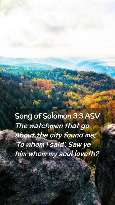 Picture 02 - Song of Solomon 3:3 ASV Mobile Phone Wallpaper - The watchmen that go about the city found me; `To - Mobile Bible Verse Wallpaper