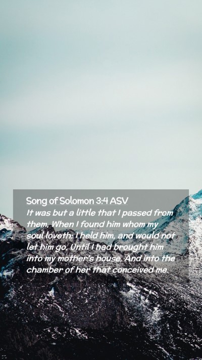 Picture 02 - Song of Solomon 3:4 ASV Mobile Phone Wallpaper - It was but a little that I passed from them, When - Mobile Bible Verse Wallpaper