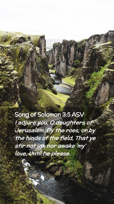 Picture 02 - Song of Solomon 3:5 ASV Mobile Phone Wallpaper - I adjure you, O daughters of Jerusalem, By the - Mobile Bible Verse Wallpaper