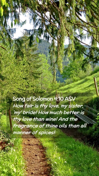 Picture 02 - Song of Solomon 4:10 ASV Mobile Phone Wallpaper - How fair is thy love, my sister, `my' bride! How - Mobile Bible Verse Wallpaper