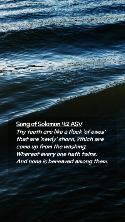 Picture 02 - Song of Solomon 4:2 ASV Mobile Phone Wallpaper - Thy teeth are like a flock `of ewes' that are - Mobile Bible Verse Wallpaper