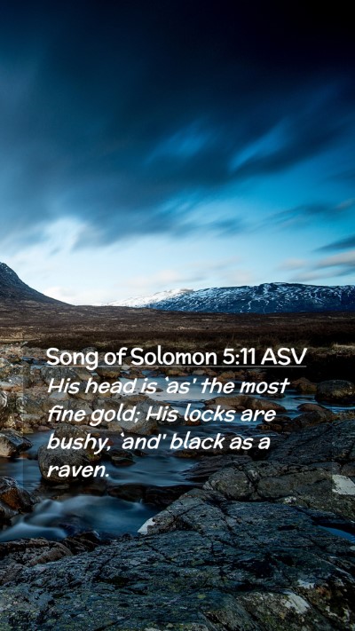 Picture 02 - Song of Solomon 5:11 ASV Mobile Phone Wallpaper - His head is `as' the most fine gold; His locks - Mobile Bible Verse Wallpaper