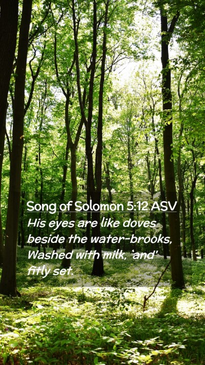 Picture 02 - Song of Solomon 5:12 ASV Mobile Phone Wallpaper - His eyes are like doves beside the water-brooks, - Mobile Bible Verse Wallpaper