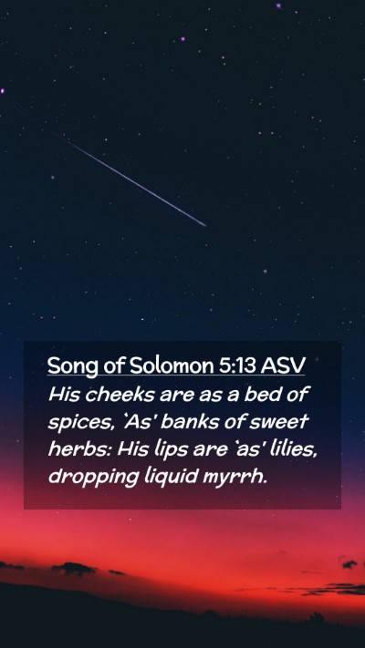 Picture 02 - Song of Solomon 5:13 ASV Mobile Phone Wallpaper - His cheeks are as a bed of spices, `As' banks of - Mobile Bible Verse Wallpaper