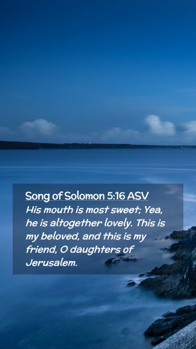 Picture 02 - Song of Solomon 5:16 ASV Mobile Phone Wallpaper - His mouth is most sweet; Yea, he is altogether - Mobile Bible Verse Wallpaper