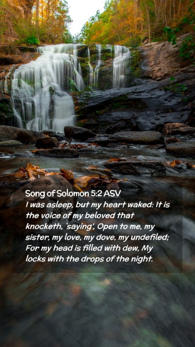 Picture 02 - Song of Solomon 5:2 ASV Mobile Phone Wallpaper - I was asleep, but my heart waked: It is the voice - Mobile Bible Verse Wallpaper