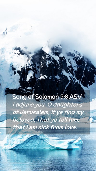 Picture 02 - Song of Solomon 5:8 ASV Mobile Phone Wallpaper - I adjure you, O daughters of Jerusalem, If ye - Mobile Bible Verse Wallpaper
