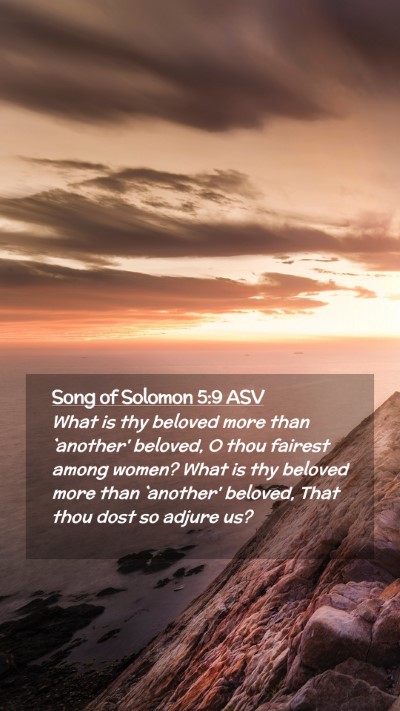 Picture 02 - Song of Solomon 5:9 ASV Mobile Phone Wallpaper - What is thy beloved more than `another' beloved, - Mobile Bible Verse Wallpaper