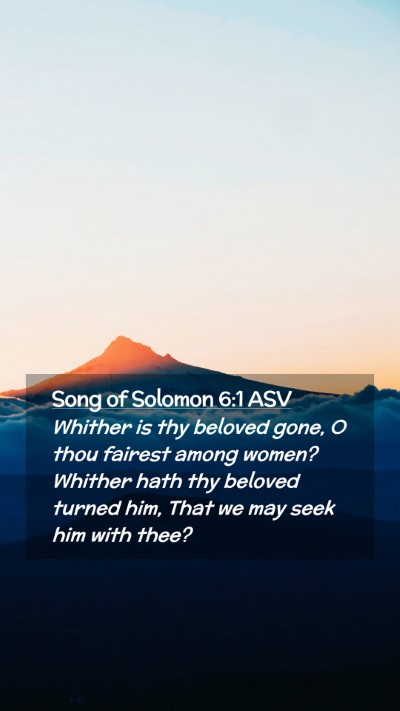 Picture 02 - Song of Solomon 6:1 ASV Mobile Phone Wallpaper - Whither is thy beloved gone, O thou fairest among - Mobile Bible Verse Wallpaper