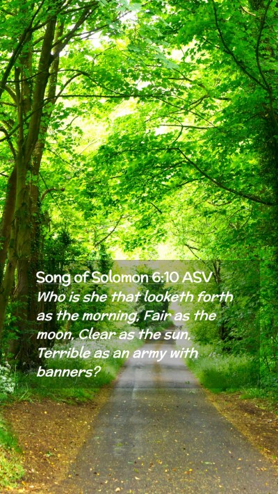 Picture 02 - Song of Solomon 6:10 ASV Mobile Phone Wallpaper - Who is she that looketh forth as the morning, - Mobile Bible Verse Wallpaper