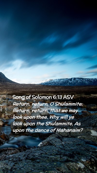 Picture 02 - Song of Solomon 6:13 ASV Mobile Phone Wallpaper - Return, return, O Shulammite; Return, return, - Mobile Bible Verse Wallpaper