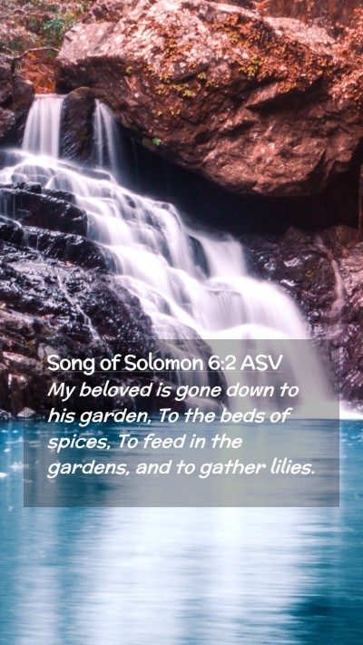 Picture 02 - Song of Solomon 6:2 ASV Mobile Phone Wallpaper - My beloved is gone down to his garden, To the - Mobile Bible Verse Wallpaper