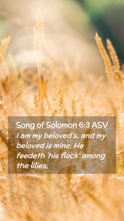 Picture 02 - Song of Solomon 6:3 ASV Mobile Phone Wallpaper - I am my beloved's, and my beloved is mine; He - Mobile Bible Verse Wallpaper