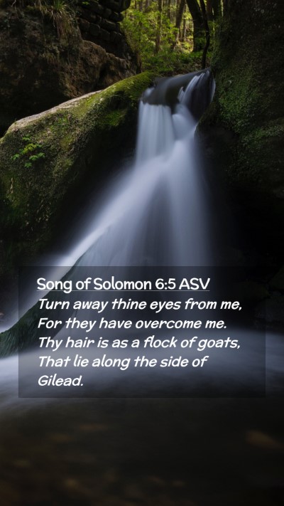 Picture 02 - Song of Solomon 6:5 ASV Mobile Phone Wallpaper - Turn away thine eyes from me, For they have - Mobile Bible Verse Wallpaper