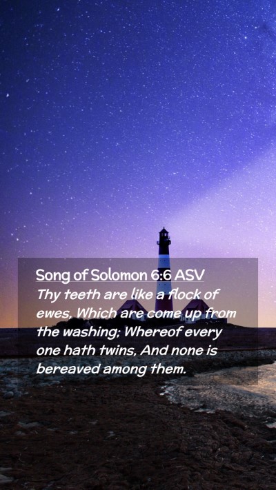 Picture 02 - Song of Solomon 6:6 ASV Mobile Phone Wallpaper - Thy teeth are like a flock of ewes, Which are - Mobile Bible Verse Wallpaper