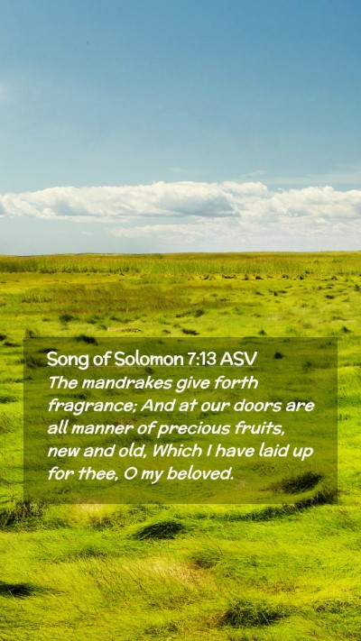 Picture 02 - Song of Solomon 7:13 ASV Mobile Phone Wallpaper - The mandrakes give forth fragrance; And at our - Mobile Bible Verse Wallpaper