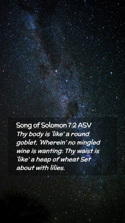 Picture 02 - Song of Solomon 7:2 ASV Mobile Phone Wallpaper - Thy body is `like' a round goblet, `Wherein' no - Mobile Bible Verse Wallpaper