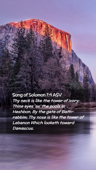 Picture 02 - Song of Solomon 7:4 ASV Mobile Phone Wallpaper - Thy neck is like the tower of ivory; Thine eyes - Mobile Bible Verse Wallpaper