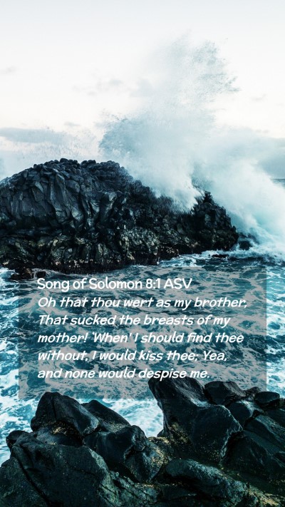 Picture 02 - Song of Solomon 8:1 ASV Mobile Phone Wallpaper - Oh that thou wert as my brother, That sucked the - Mobile Bible Verse Wallpaper