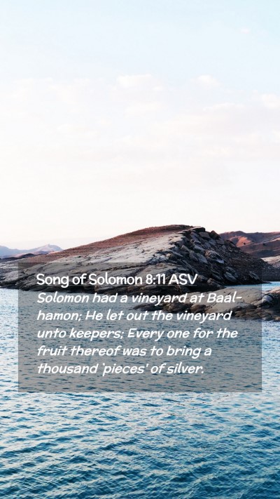 Picture 02 - Song of Solomon 8:11 ASV Mobile Phone Wallpaper - Solomon had a vineyard at Baal-hamon; He let out - Mobile Bible Verse Wallpaper
