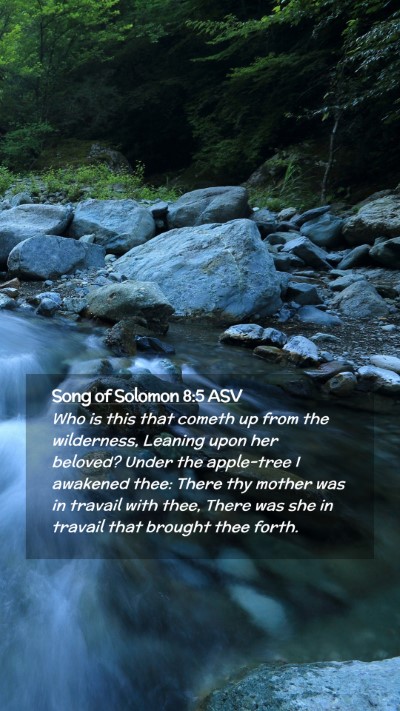Picture 02 - Song of Solomon 8:5 ASV Mobile Phone Wallpaper - Who is this that cometh up from the wilderness, - Mobile Bible Verse Wallpaper