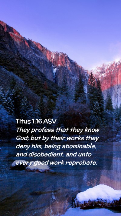 Picture 02 - Titus 1:16 ASV Mobile Phone Wallpaper - They profess that they know God; but by their - Mobile Bible Verse Wallpaper