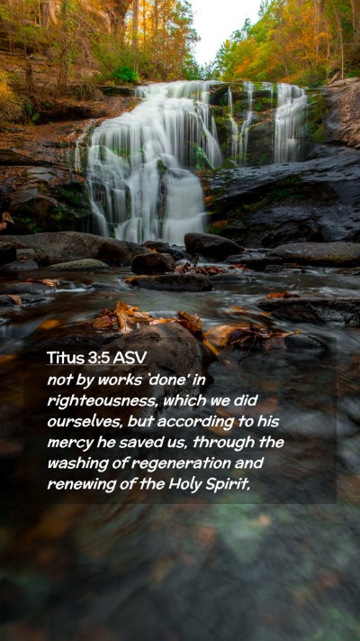 Picture 02 - Titus 3:5 ASV Mobile Phone Wallpaper - not by works `done' in righteousness, which we - Mobile Bible Verse Wallpaper