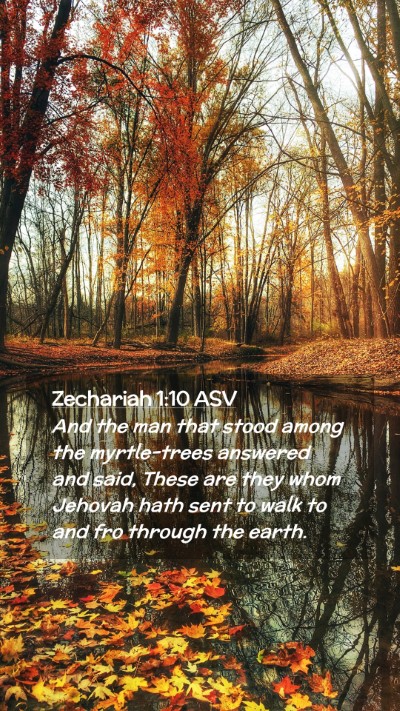 Picture 02 - Zechariah 1:10 ASV Mobile Phone Wallpaper - And the man that stood among the myrtle-trees - Mobile Bible Verse Wallpaper
