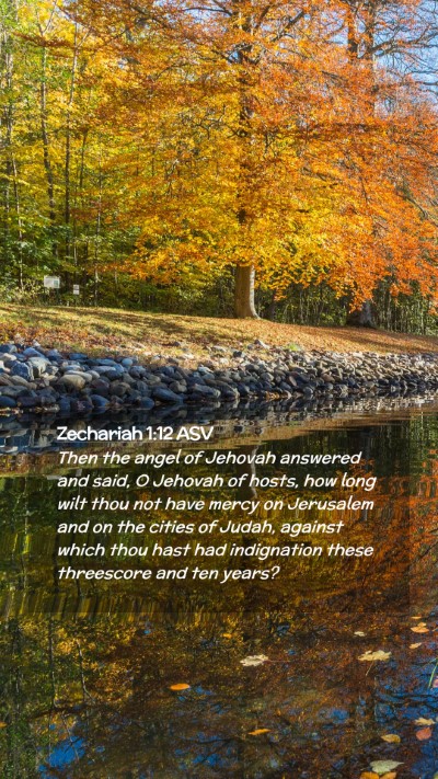 Picture 02 - Zechariah 1:12 ASV Mobile Phone Wallpaper - Then the angel of Jehovah answered and said, O - Mobile Bible Verse Wallpaper