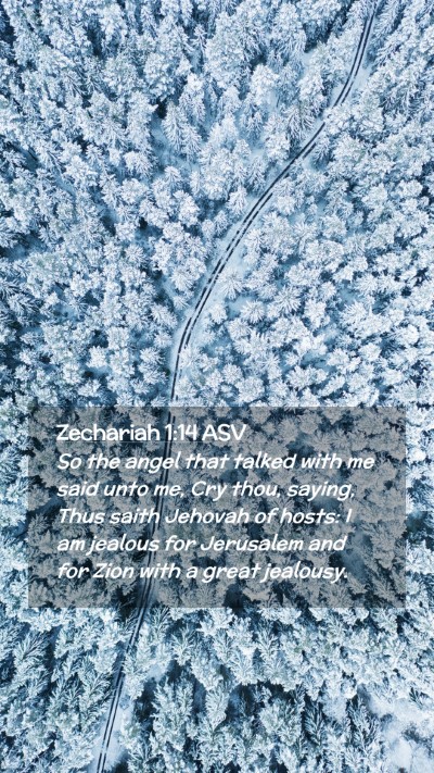 Picture 02 - Zechariah 1:14 ASV Mobile Phone Wallpaper - So the angel that talked with me said unto me, - Mobile Bible Verse Wallpaper