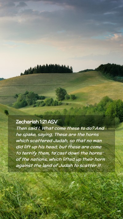 Picture 02 - Zechariah 1:21 ASV Mobile Phone Wallpaper - Then said I, What come these to do? And he spake, - Mobile Bible Verse Wallpaper