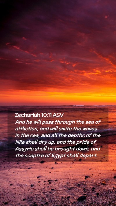 Picture 02 - Zechariah 10:11 ASV Mobile Phone Wallpaper - And he will pass through the sea of affliction, - Mobile Bible Verse Wallpaper