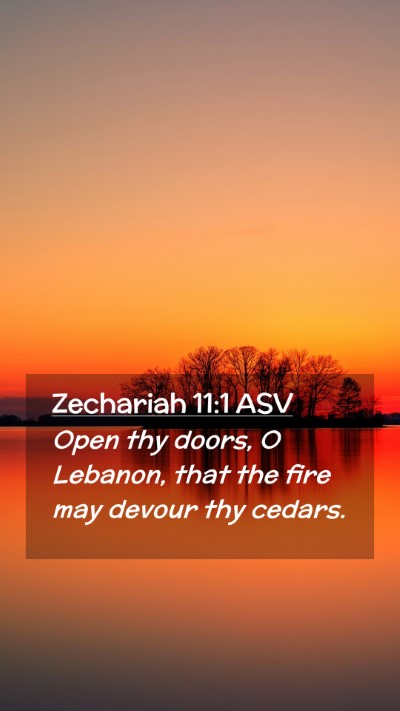 Picture 02 - Zechariah 11:1 ASV Mobile Phone Wallpaper - Open thy doors, O Lebanon, that the fire may - Mobile Bible Verse Wallpaper